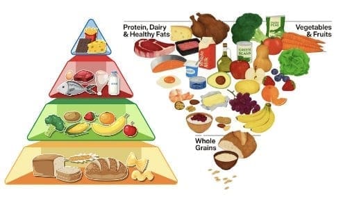 Old 1992 and New 2026 Food Pyramid