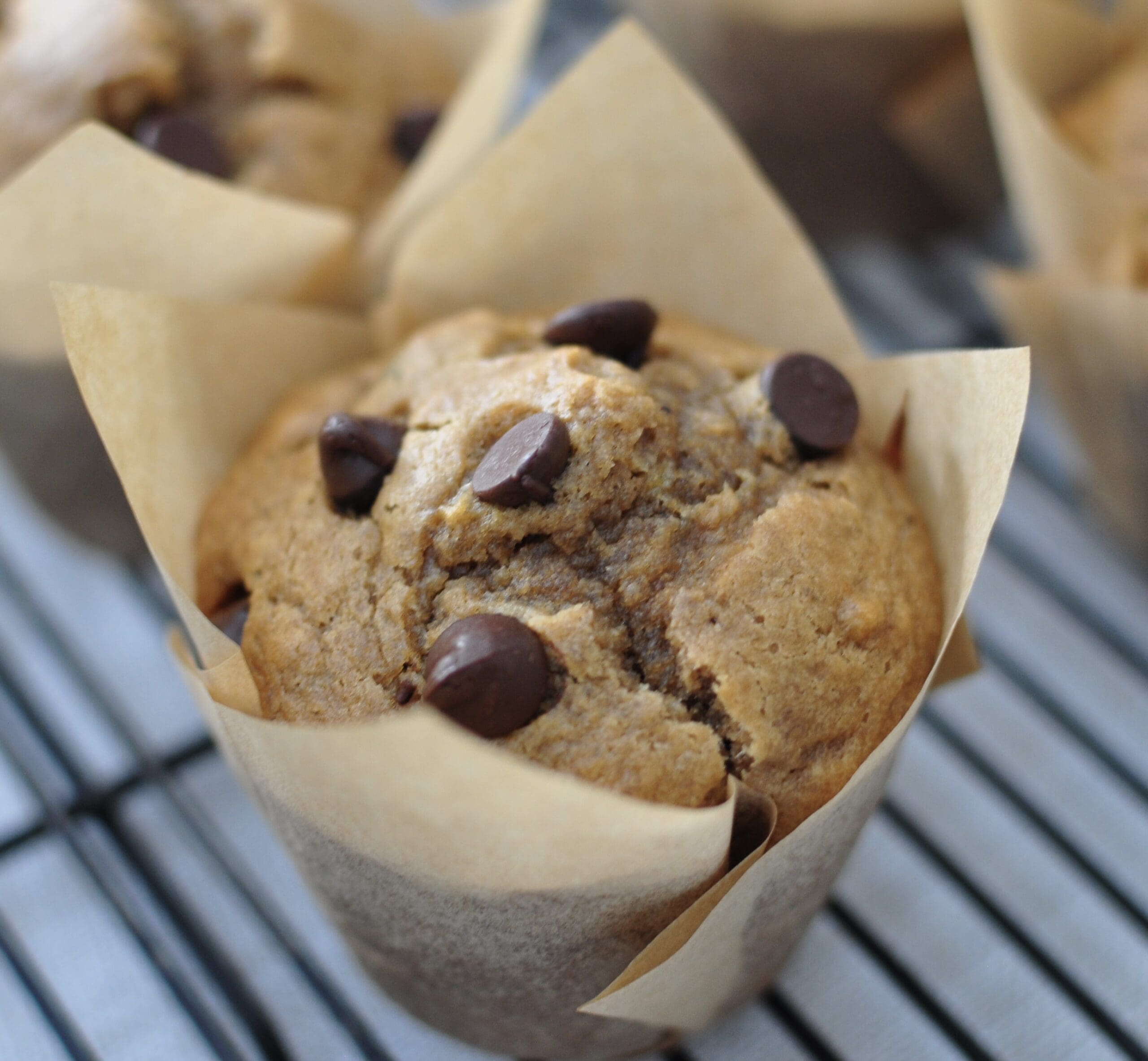 Peanut Butter Banana Chocolate Chip Muffin Recipe