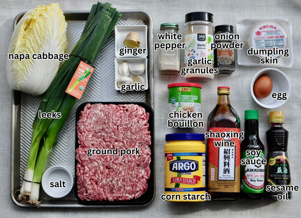 ingredients for pork and leek dumplings