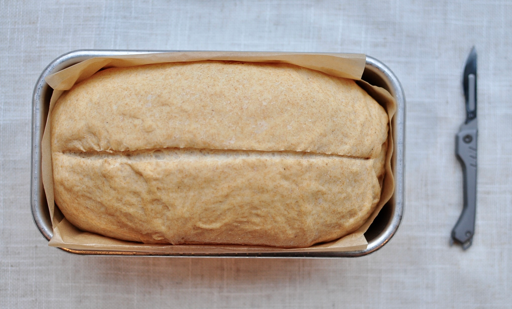 lame to cut down center of dough