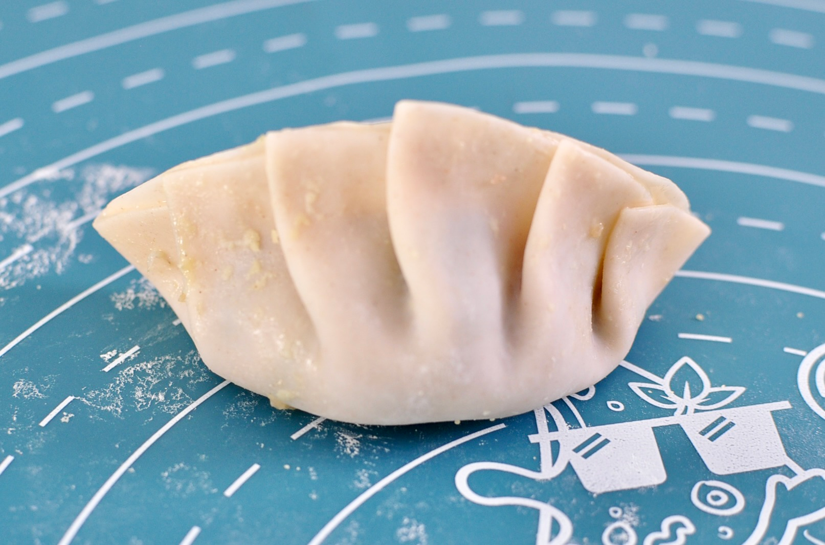 Pork and leek dumpling for potstickers