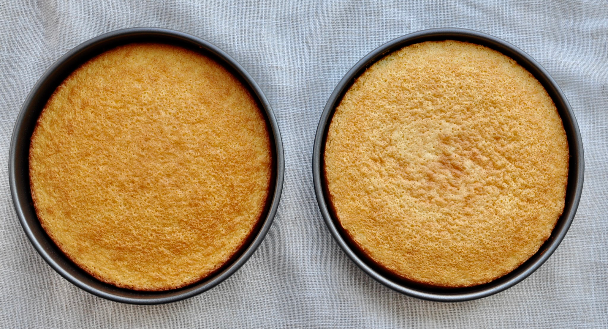 Baked cake in two cake pans