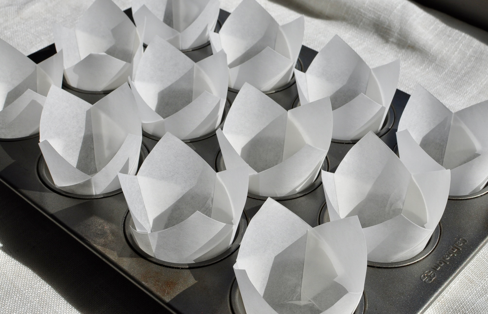 White tulip muffin liners