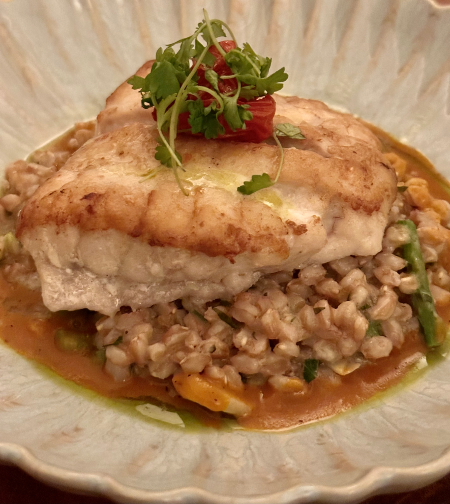 ORA Florida Grouper