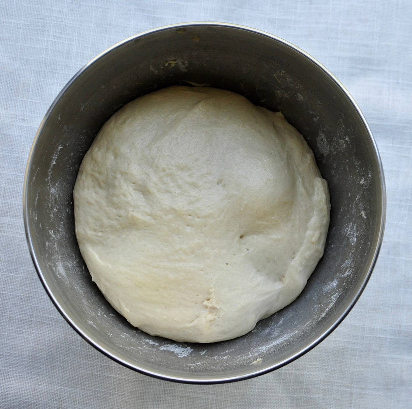 Chinese Bakery Style Milk Bread Dough Rise