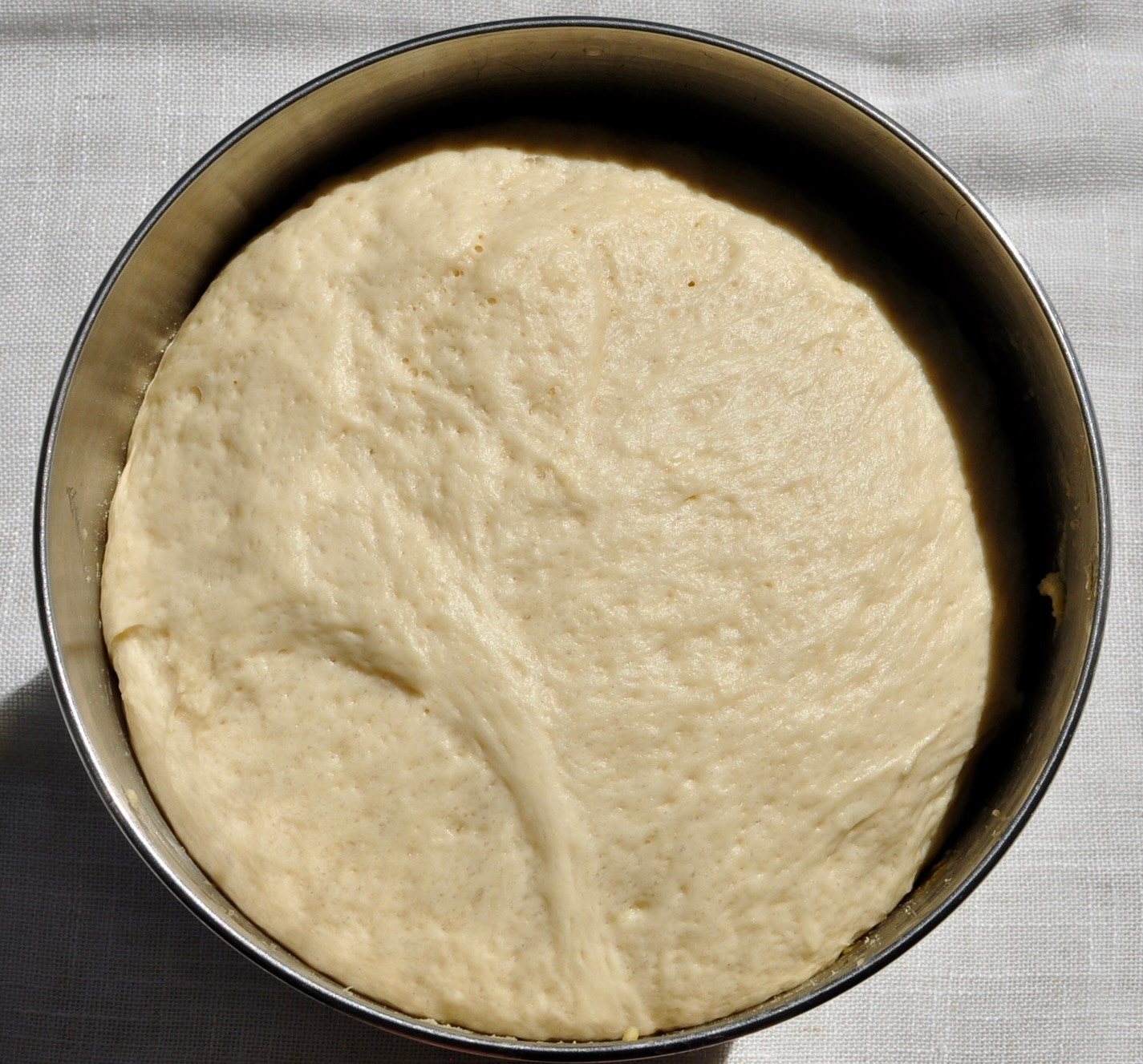 Milk Bread Dough After First Rise Coconut Cream Bun
