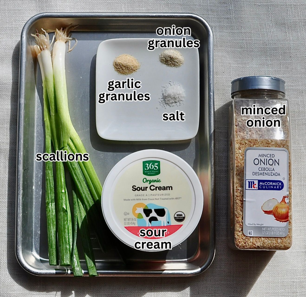 Ingredients for Homemade French Onion Dip